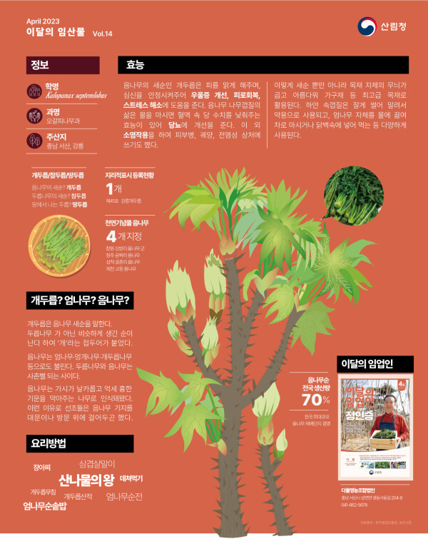 이달의 임산물 음나무 (산림청 제공)