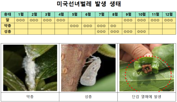 산림청 제공