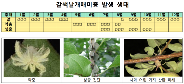 산림청 제공