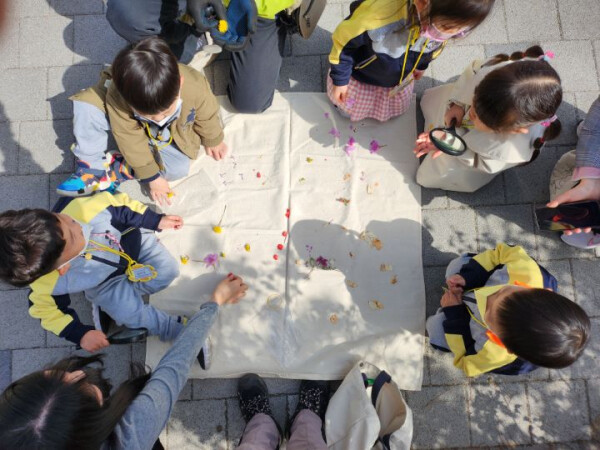 국립산림품종관리센터 제공