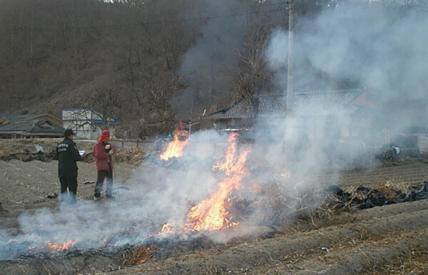 산림청 제공