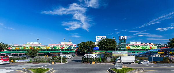 구리농수산물공사 전경