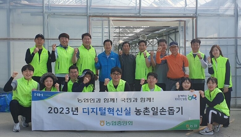 농협 디지털혁신실 농촌일손 돕기 (농협 제공)