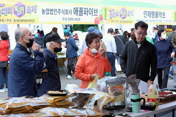 인제군청 제공