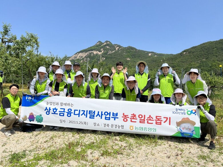 농협 상호금융디지털사업본부 제공