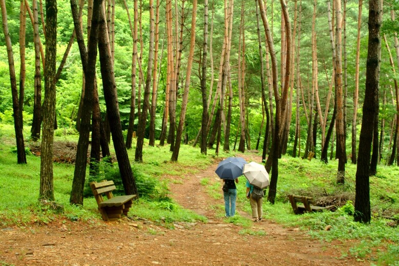 검마산 산림욕장 (산림청 제공)