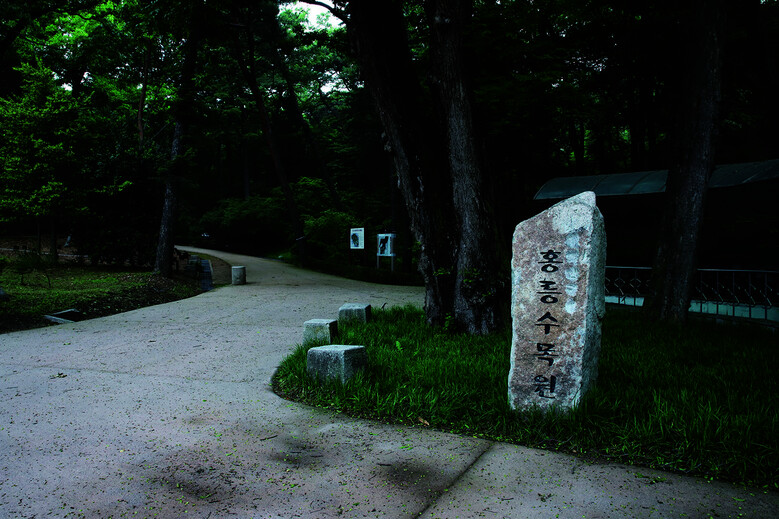 국가산림문화자산 제1호 홍릉숲 (산림청 제공)