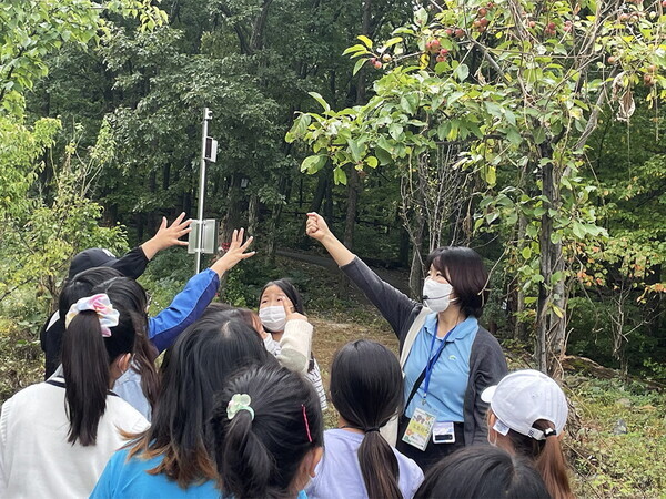 한국산림복지진흥원 제공