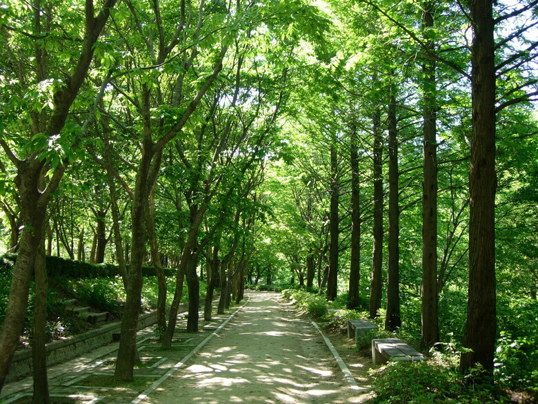 경북수목원 (경북도 제공)