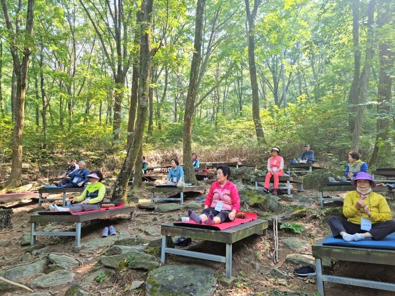 산림복지전문업이 제공하는 숲체험 프로그램 체험 모습 (산림청 제공)