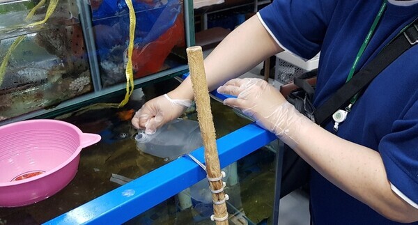 수족관물 검사(서울시농수산식품공사 제공)