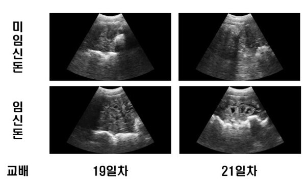 국립축산과학원 제공