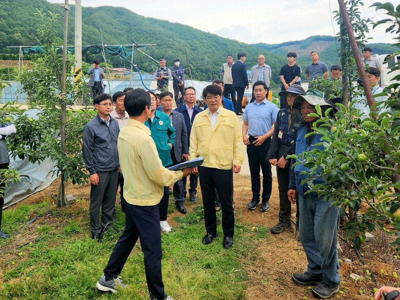 농림축산식품부 권재한 농업혁신정책실장이 15일 경상북도 문경시 소재 사과 농가를 방문하여 우박피해 현장을 살펴보고 있다. (농식품부 제공)