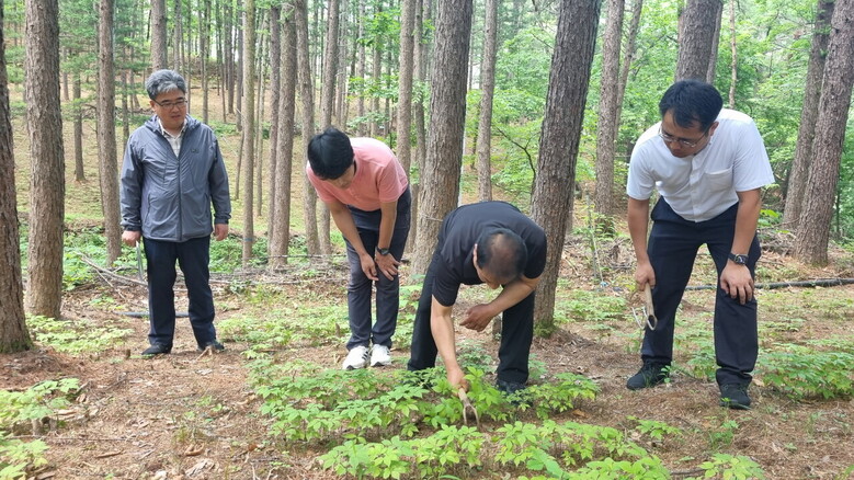 제3차 산림분야 규제혁신 TF 현장토론회 사진 (산림청 제공)