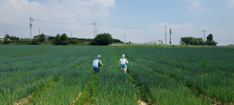 경기도농업기술원 제공