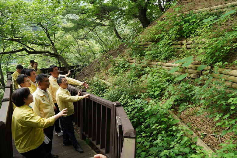 산림청 제공