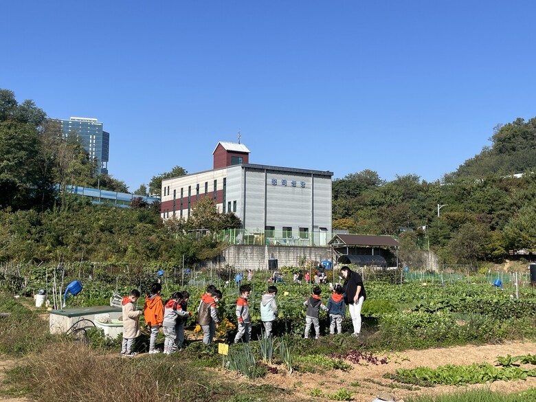 경기도농수산진흥원 제공