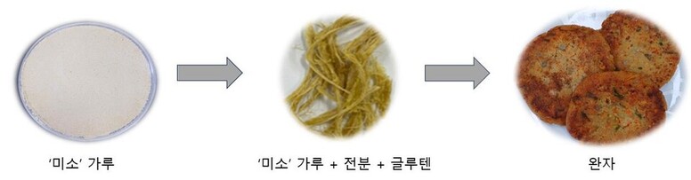 식물성대체식품가공과정