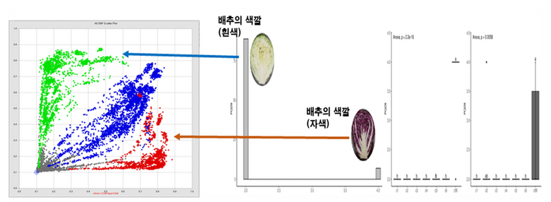 디지털육종기술