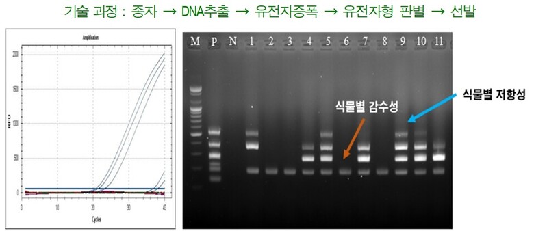 분자육종기술