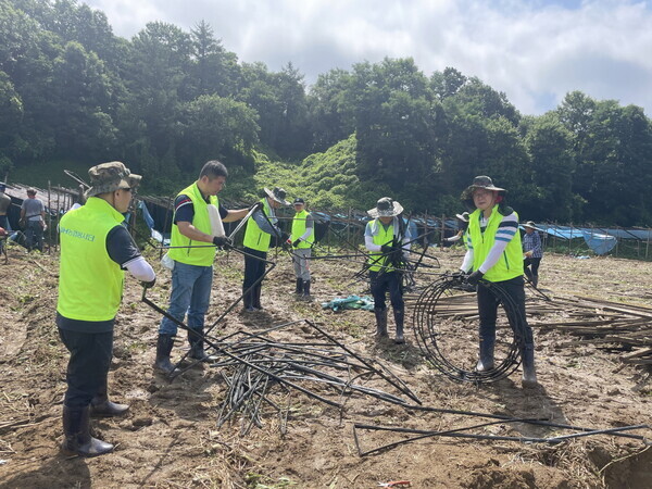 이재호 농협경제연구소장(오른쪽 첫번째)과 임직원들은 19일 충북 괴산군 소재 농가에서 수해 피해복구 지원활동을 펼치고 있다.