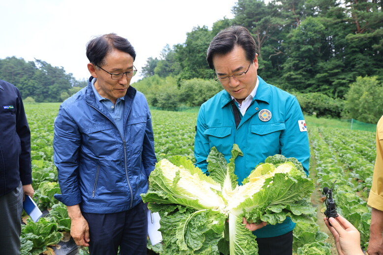농식품부 제공