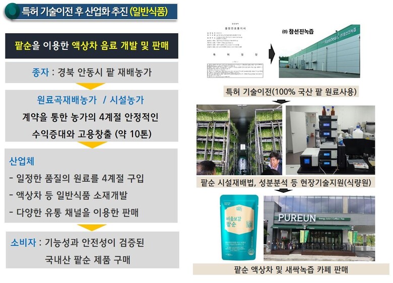 특허 기술이전 후 산업화 추진(일반식품)