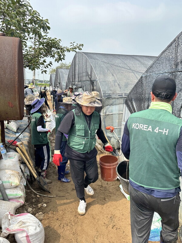 4-H가족 제2차 수해복구 봉사활동(한국4-H본부 제공)