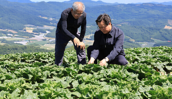 (사진=농림축산식품부 제공)