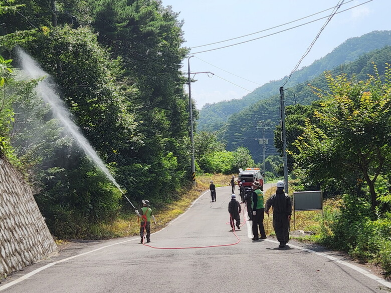 농림지 동시 발생 병해충 방제 총력(산림청 제공)