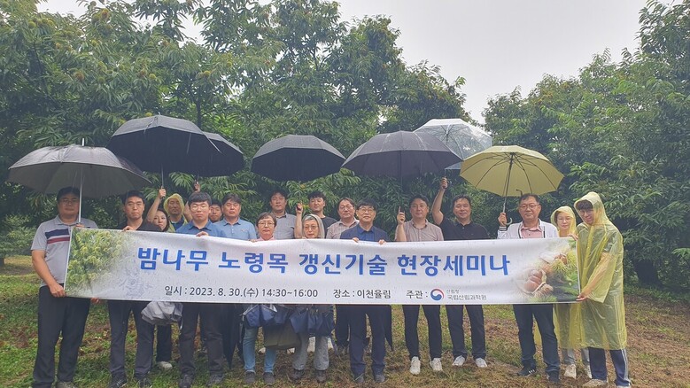 밤나무 노령목 갱신기술 현장세미나(국립산림과학원 제공)