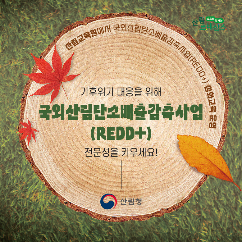 국외산림 탄소배출 감축사업(산림청 제공)