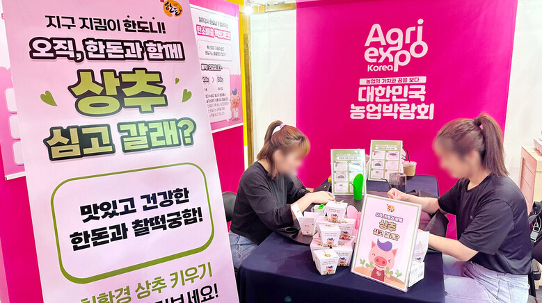 행사장을 찾은 방문객들이 한돈과 어울리는 친환경 상추를 심고 있다.(한돈자조금 제공)