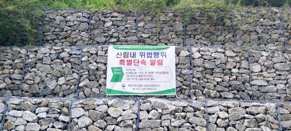 (수원국유림관리소 제공)