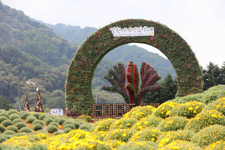 인제 가을꽃 축제 개막(인제군청 제공)