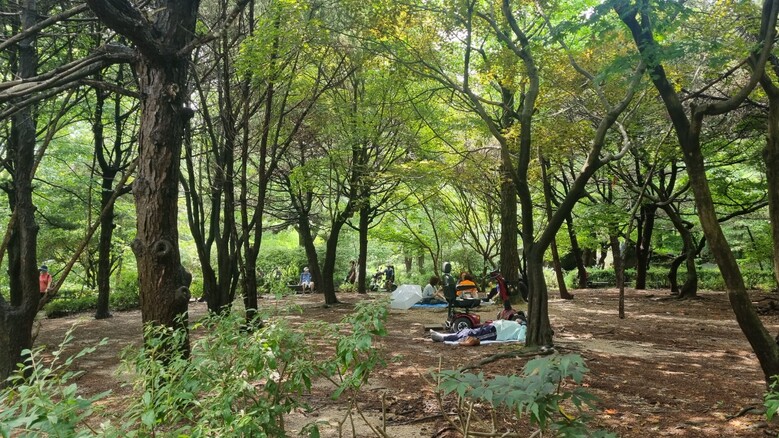 도봉산에서 여유를 즐기는 사람들(국립산림과학원 제공)