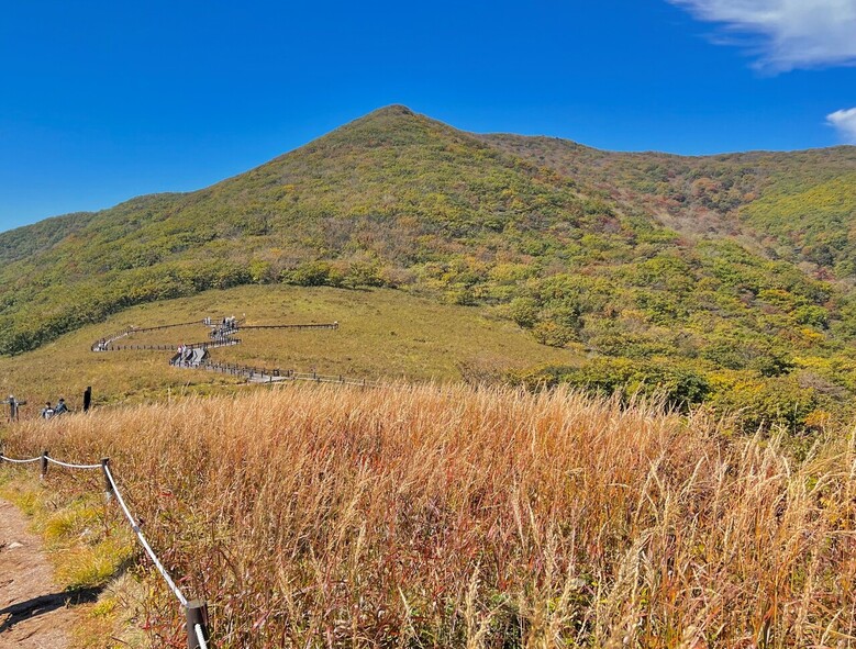 인제 곰배령(북부지방산림청 제공)