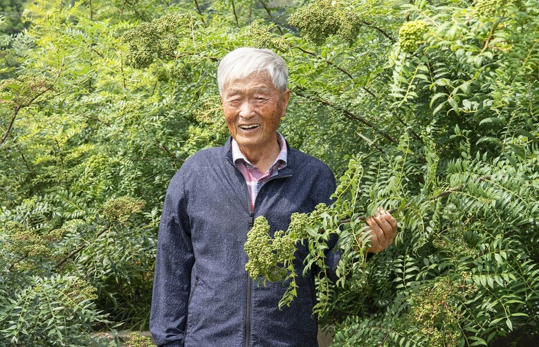 경남 하동에서 산초나무를 생산하는 임업인, 한치복(산림청 제공)