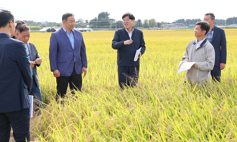 가루쌀 및 일반벼 생육상황 점검 (농촌진흥청 제공)