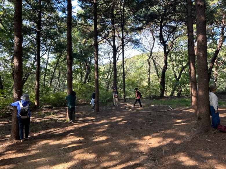 서울대공원 치유의 숲에서 산림치유 프로그램을 진행(과천시 제공)