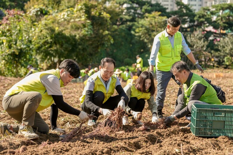 농협금융지주는 17일, 경기도 용인시 소재 농가에서 농촌일손돕기에 나섰다. 김용기 농협금융지주 부사장(왼쪽에서 두번째)과 임직원들이 고구마 수확 작업을 하고 있다.(농협금융지주 제공)