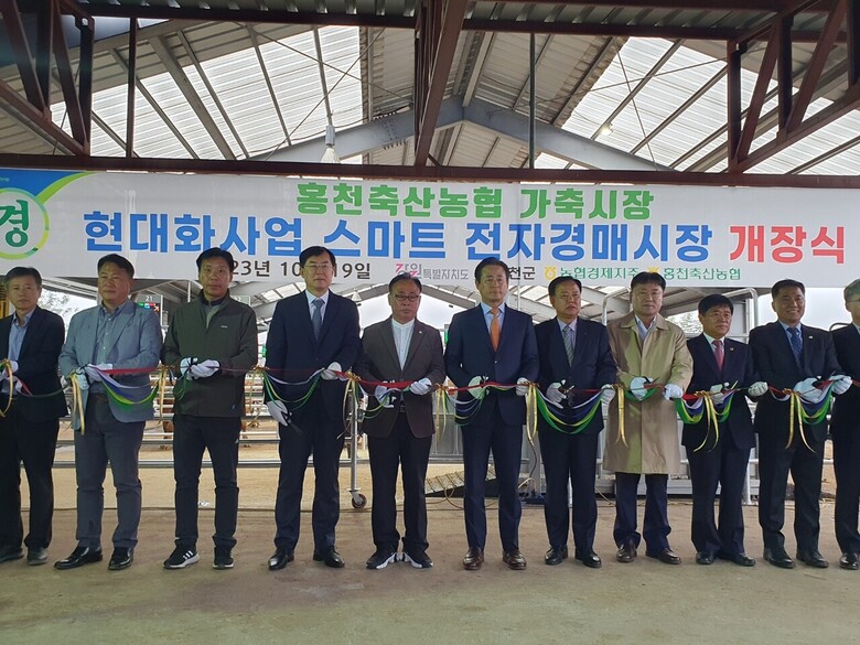 강원도 홍천축협에 스마트 가축시장을 정식 개장(농협 제공)