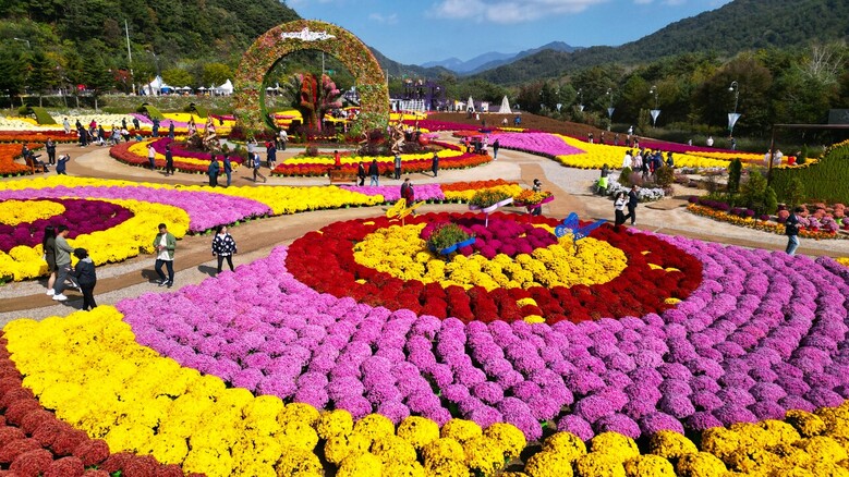 2023 인제 가을꽃축제(강원도청 제공)