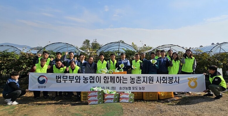 신영수 농협중앙회 농업농촌지원본부장, 윤웅장 법무부 범죄예방정책국장 및 양 기관 관계자와 사회봉사대상자 등 60여명은 24일 경기도 화성시 소재 농가에서 농촌일손돕기를 실시하고 기념촬영했다. (농협 제공)
