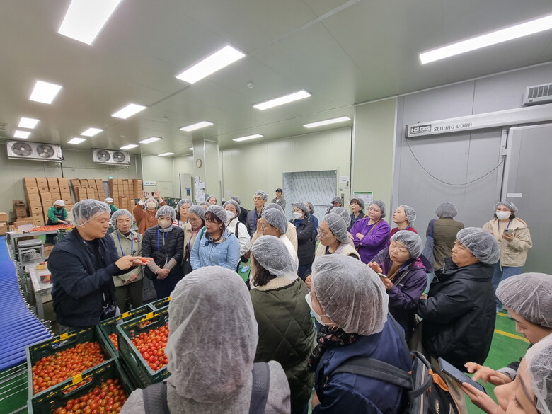 서울시 소재 국․공립 어린이집 원장 대상으로 친환경농산물 산지체험 (서울시농수산식품공사 제공)