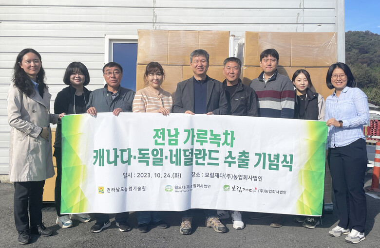 가루녹차 가공식품 통해 유럽 수출 (전남농기원 제공)