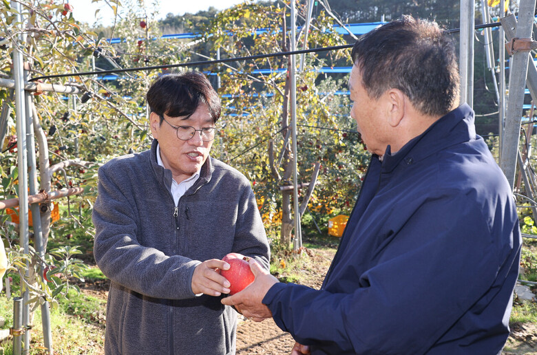 평택사과 작황을 점검(농진청 제공)
