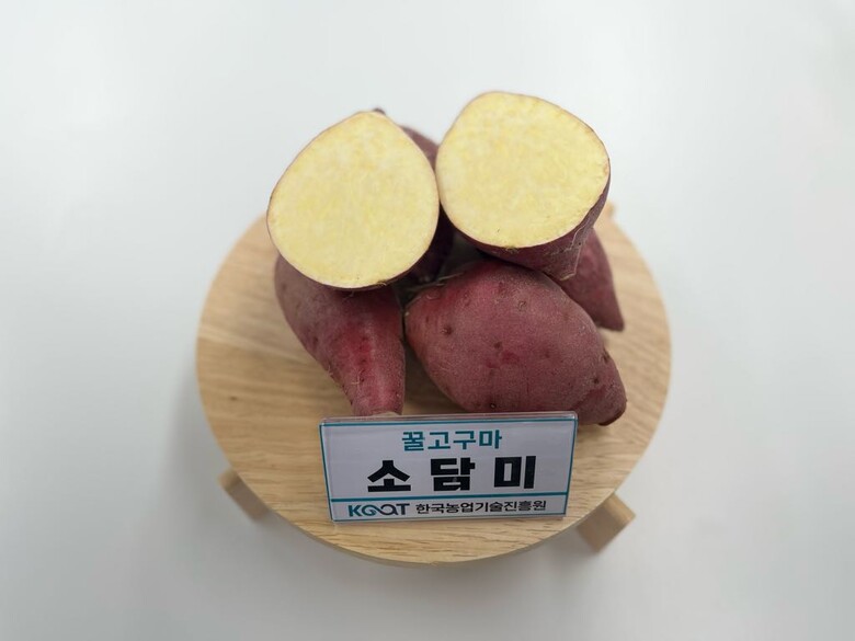 한국농업기술진흥원 제공