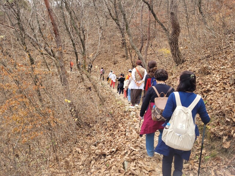 속리산둘레길에 대해 산림복지심의위원회의 심의를 거쳐 국가숲길로 지정했다.(산림청 제공)