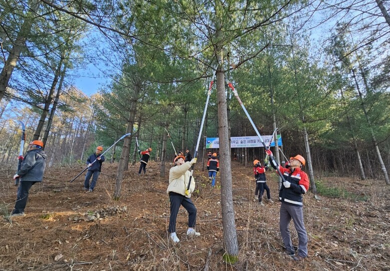 ‘숲가꾸기 1일 체험행사(북부지방산림청 제공)